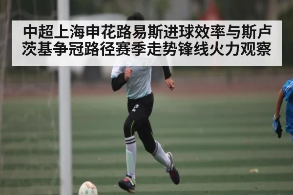 中超上海申花路易斯进球效率与斯卢茨基争冠路径赛季走势锋线火力观察